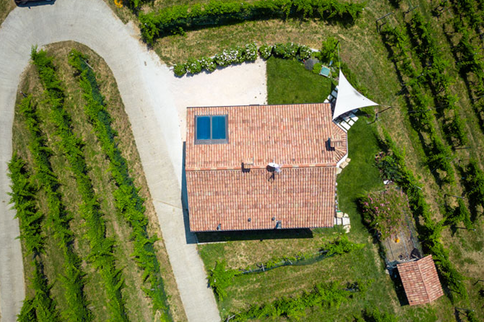 DJI_0512a
